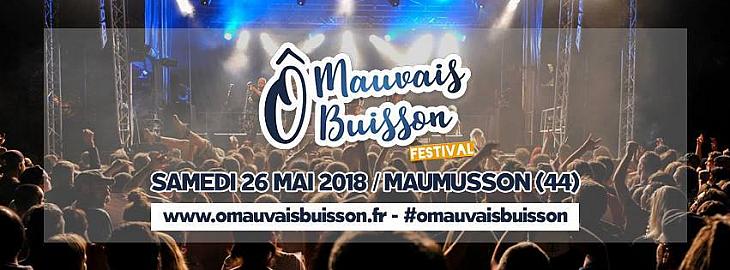 Festival ô Mauvais Buisson