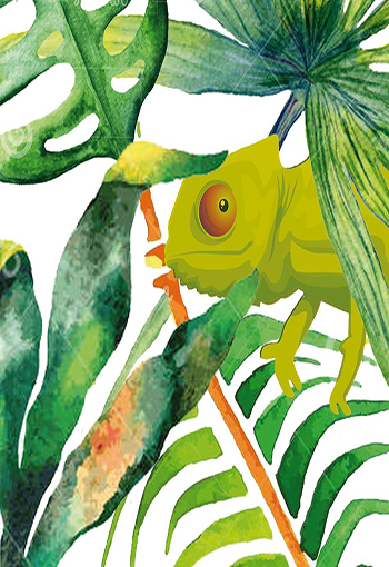 Les Soirées du Caméléon