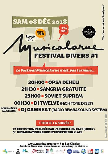 Musicalarue Festival Divers