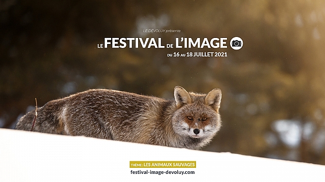 Festival de l'image 