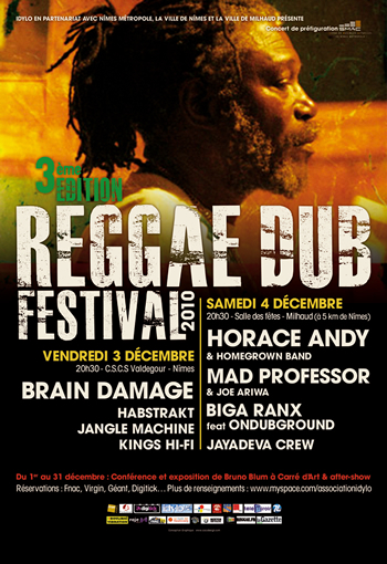 Reggae Dub festival
